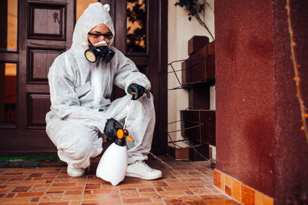 Reliable Wasp Removal contractor in Hawthorne, NJ by Show Me Pest Control